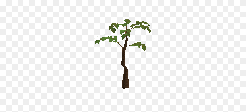 222x325 Jungle Tree De La Vieja Escuela Runescape Wiki Fandom Powered - Árbol Alto Png