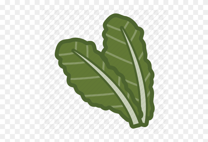 512x512 Kale, Leaf, Salad, Vegan, Vegetable Icon - Salad PNG