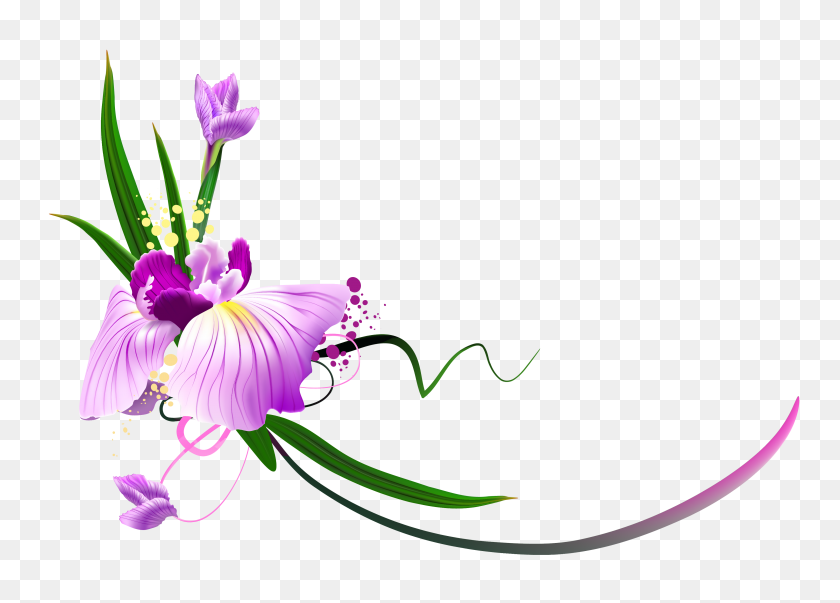 3790x2642 Flores De Kalinka, Florales - Clipart De Flores Transparentes