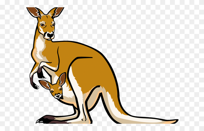 640x480 Kangaroo Clipart - Slang Clipart