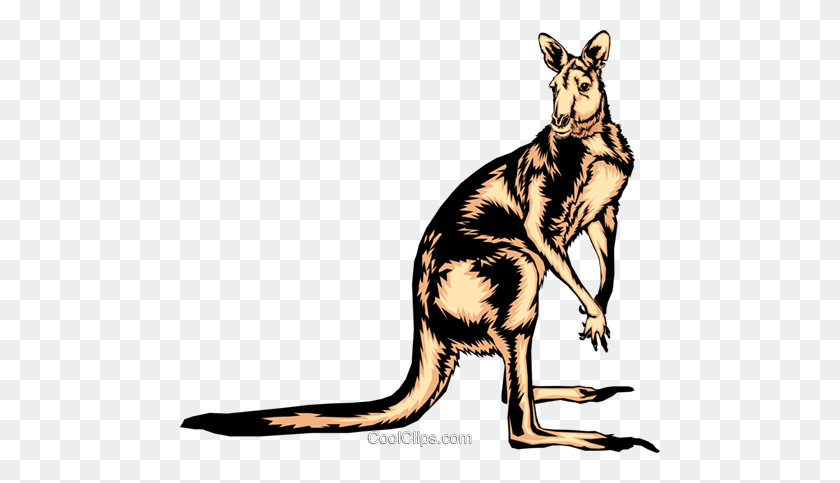 480x423 Kangaroo Royalty Free Vector Clip Art Illustration - Kangaroo Clipart