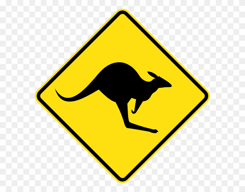 600x600 Kangaroos Blamed For Road Kill, And For Eating Crops - Roadkill Clipart