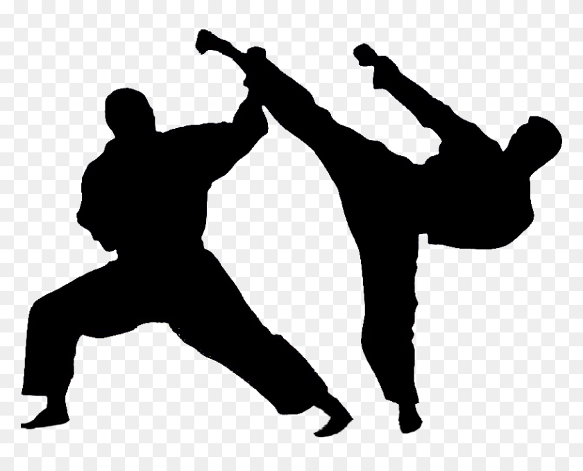 815x648 Karate Free Png Image Png Arts - Martial Arts PNG