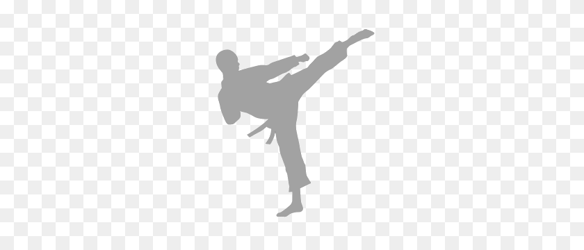 300x300 Karate Png Images Free Download - Martial Arts PNG