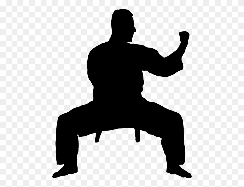 480x583 Karate Silhouette Png - Martial Arts PNG