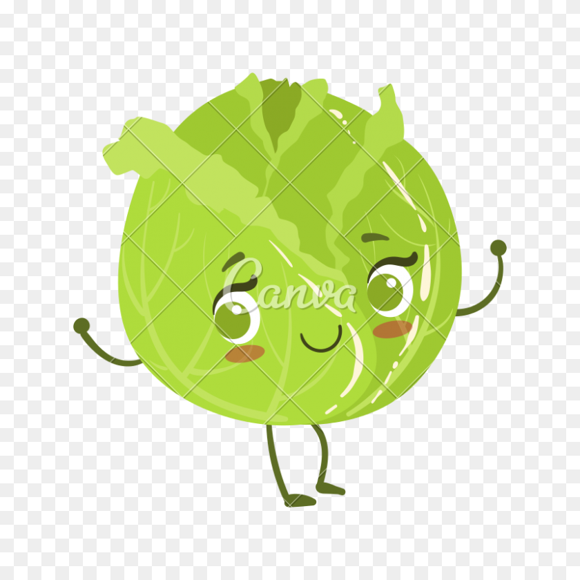 800x800 Kawaii Cabbage Cartoon - Cabbage PNG
