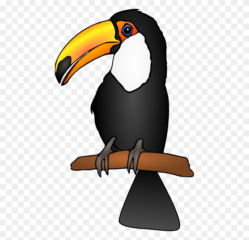 469x750 Keel Billed Toucan Piciformes Bird Parrot - Toucan Clipart Black And White