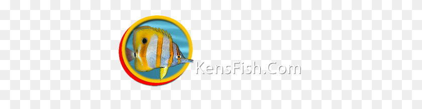 383x158 Kens Fish Link Directoy Foros De Peces Tropicales - Peces Tropicales Png