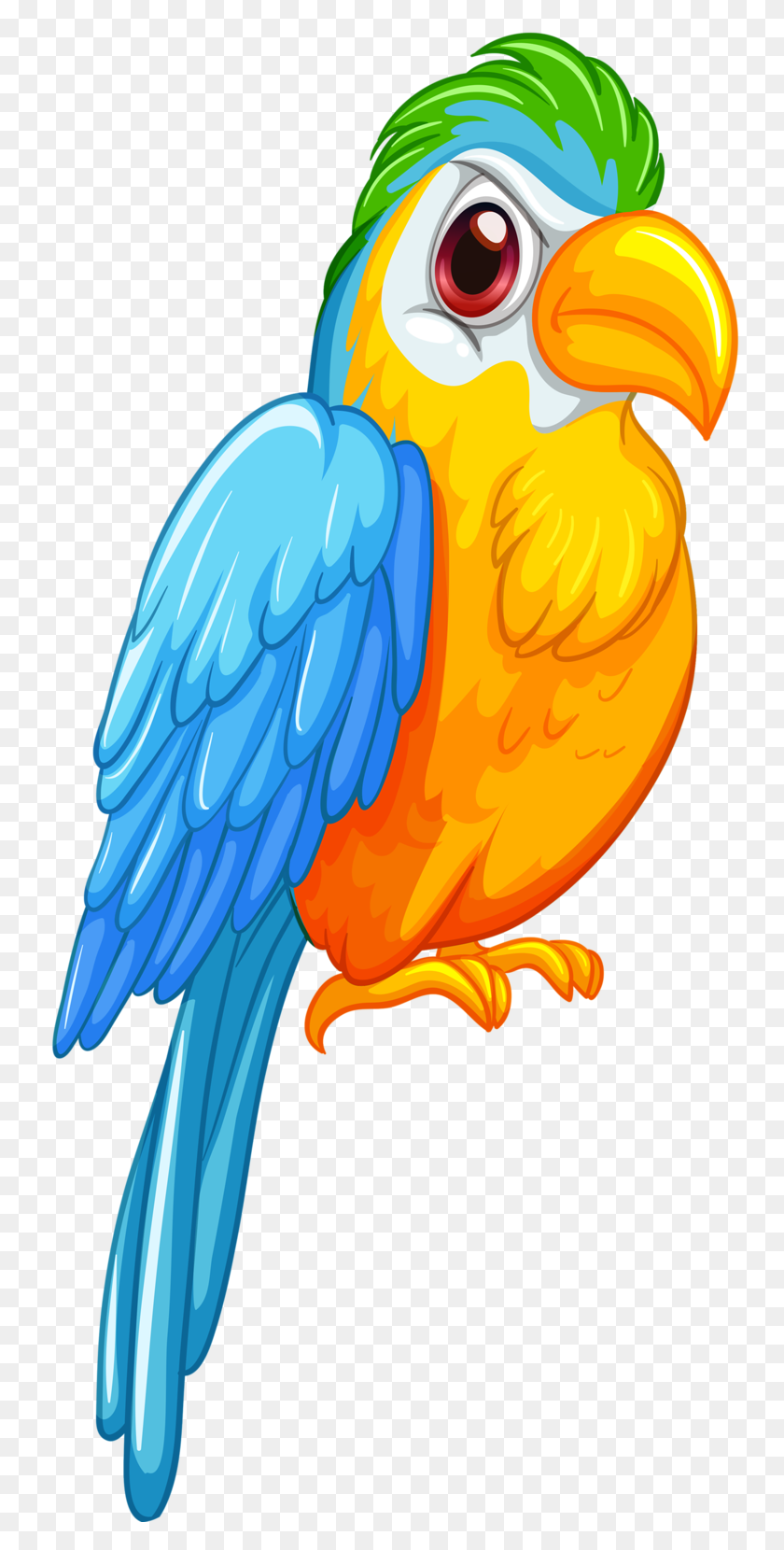 747x1600 Kgiw - Macaw Clipart