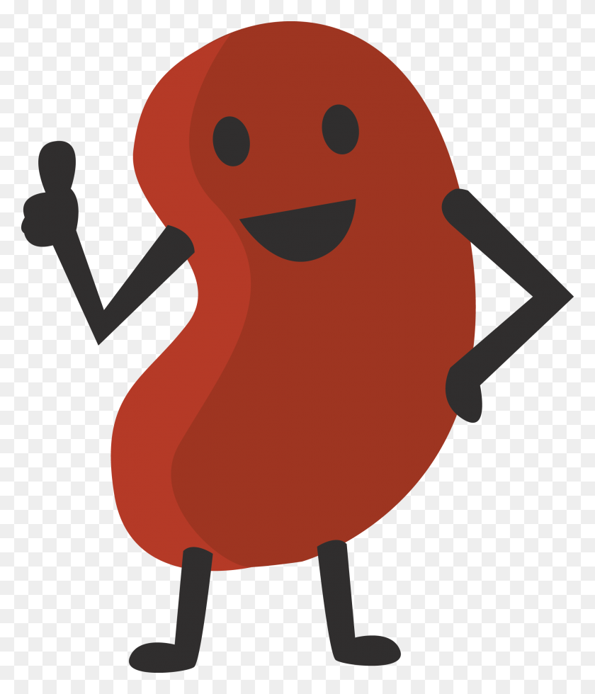 2101x2480 Kidney Bean Ideas For Ara's Kidney Party Projects, Work - Small Intestine Clipart