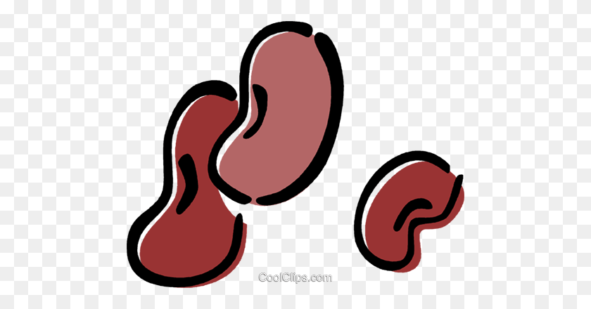 480x380 Kidney Bean Royalty Free Vector Clip Art Illustration - Beans Clipart