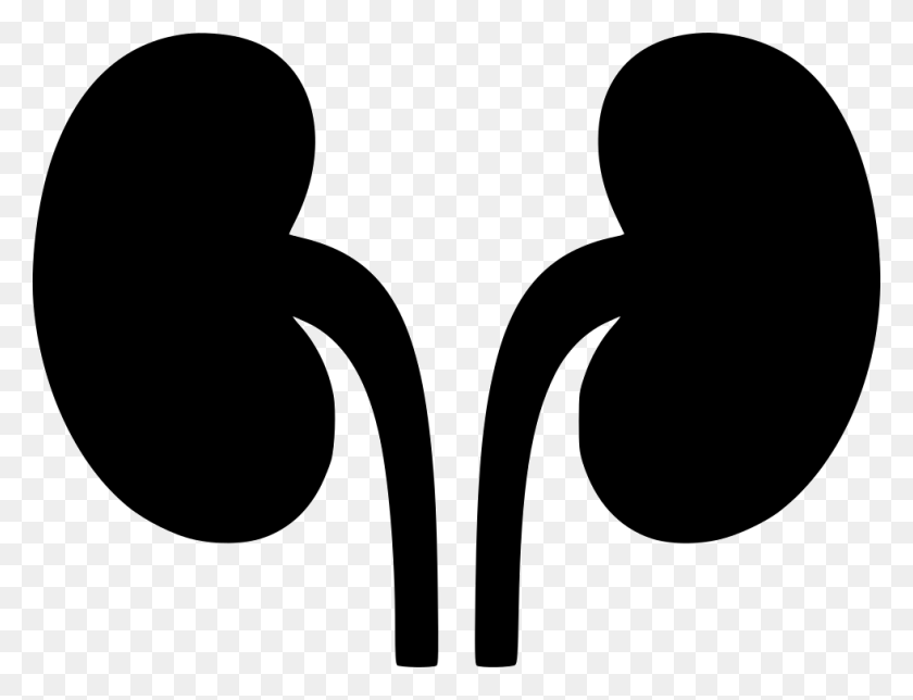 980x734 Kidneys Png Icon Free Download - Kidney PNG
