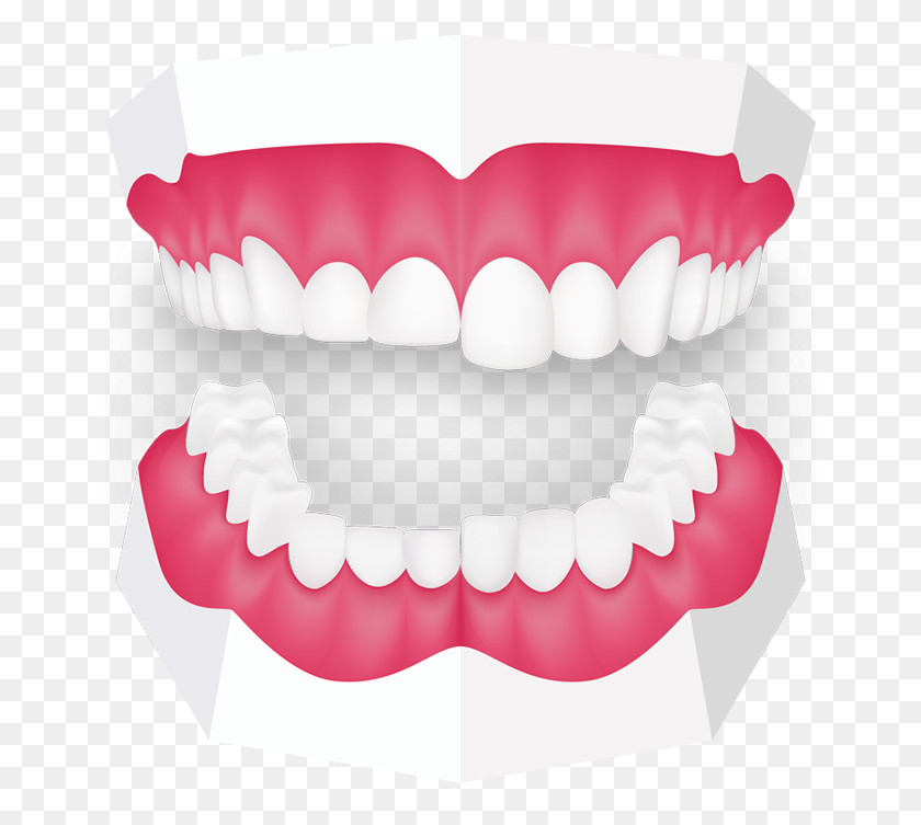 700x693 Дети Скрежетали Зубами Ричмонд, Лондон, Детский Стоматолог - Зубы Png