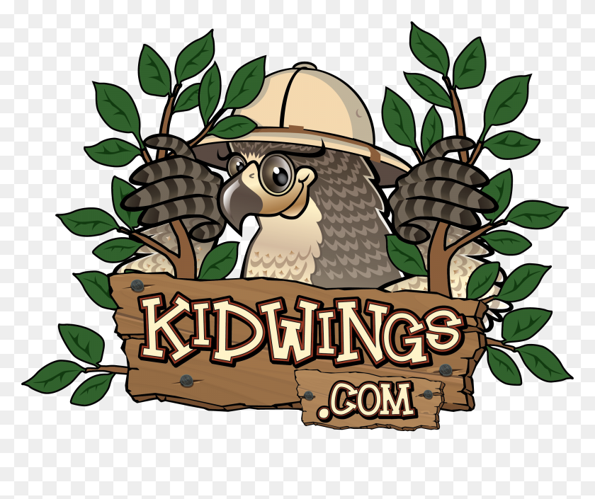 2600x2150 Kidwings Owl Pellet Disección E Información De Búho Para Niños - Owl Family Clipart
