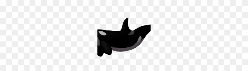 180x180 Killer Whale Png Image - Killer Whale PNG