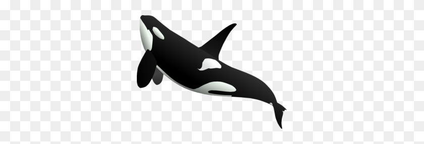 297x225 Killer Whale Png Transparent Killer Whale Images - Whale PNG
