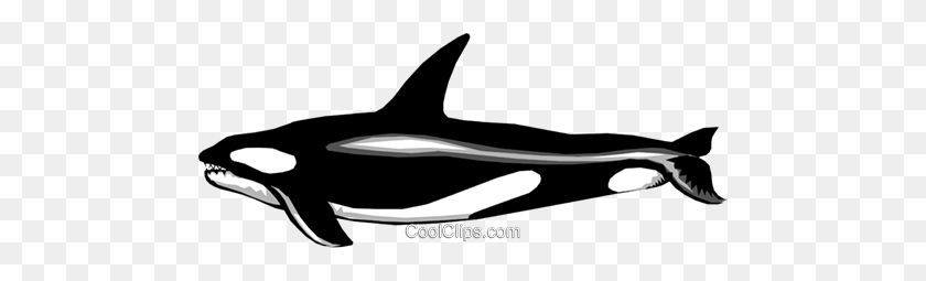 480x195 Killer Whale Royalty Free Vector Clip Art Illustration - Whale Clipart Free