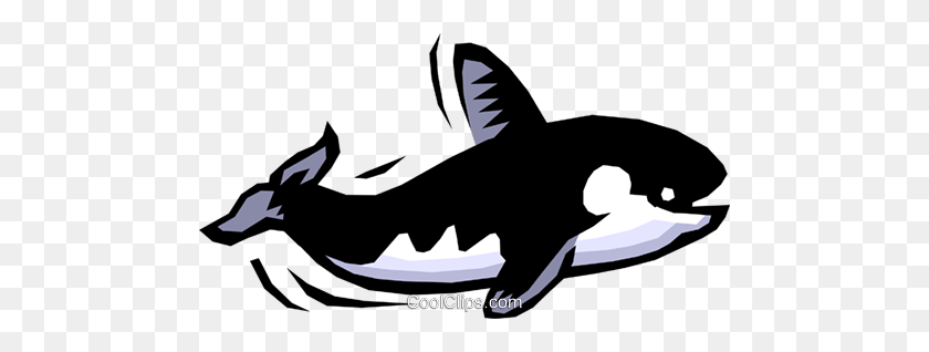 480x258 Killer Whale Royalty Free Vector Clip Art Illustration - Whale Clipart PNG