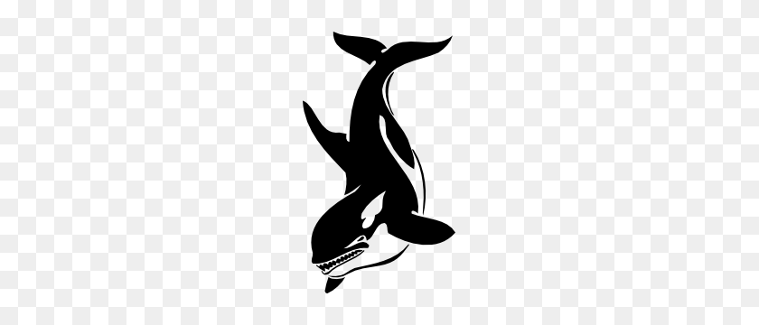 300x300 Ballena Asesina Nadando Hacia Abajo De La Etiqueta Engomada - Ballena Orca Clipart