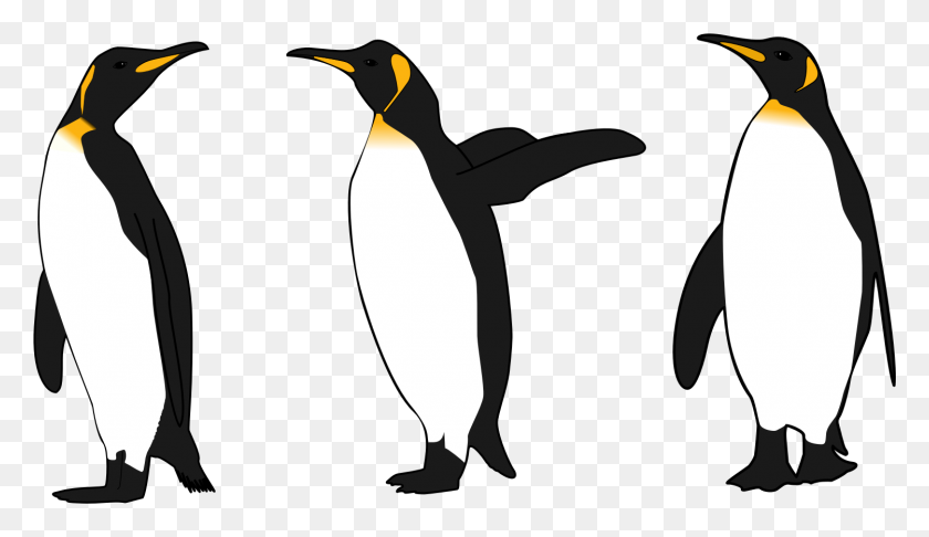 1499x819 Король Пингвин Клипарт - Картинки С Изображениями Пингвинов