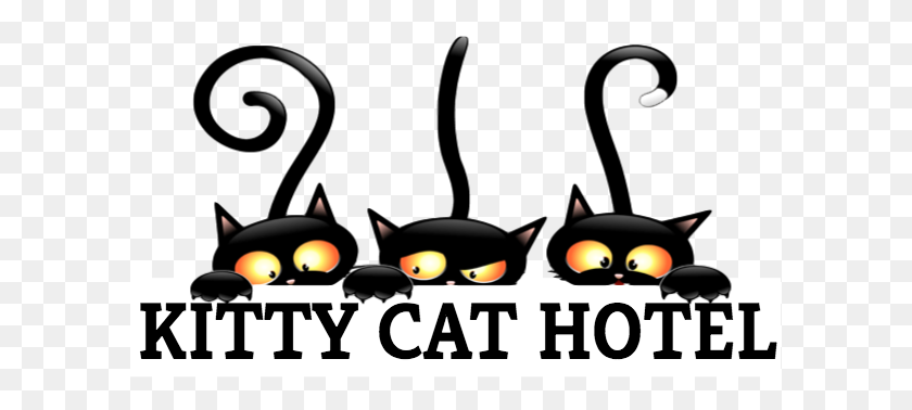 599x318 Kitty Cat Hotel Cat Sitting And Boarding Facility In Eugene Oregon - Kitty Cat Clip Art