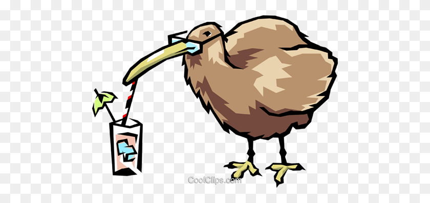 480x338 Kiwi Bird Royalty Free Vector Clipart Ilustración - Kiwi Bird Clipart