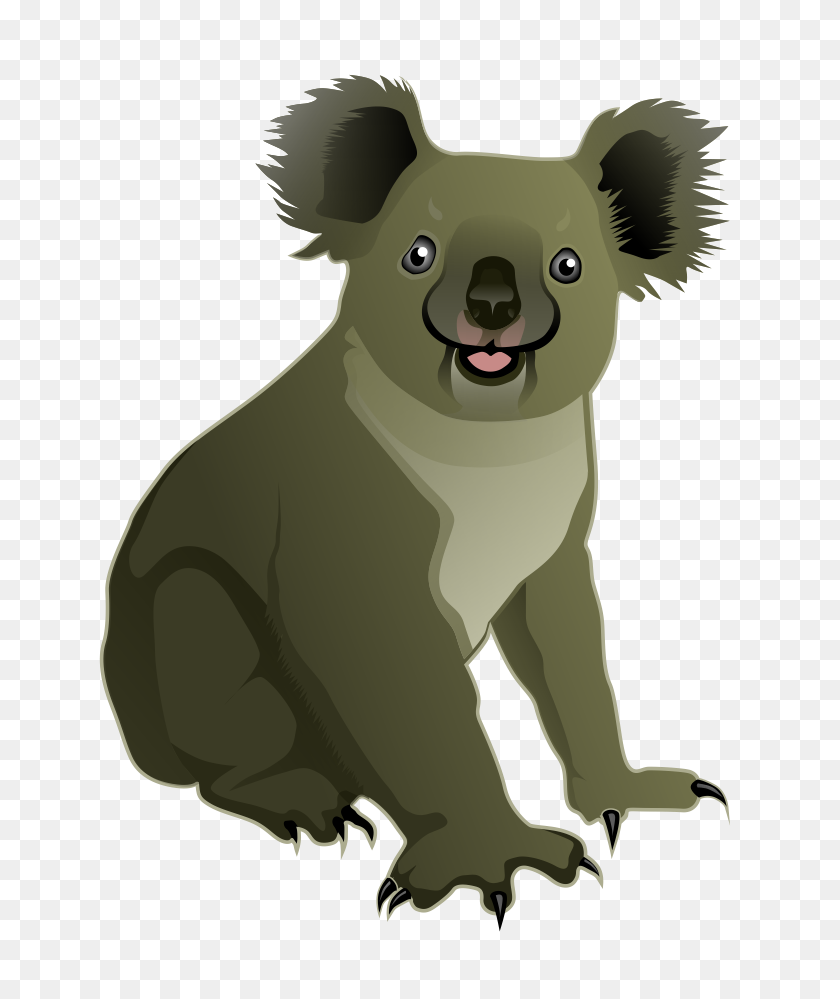 778x939 Koala Png Images Free Download - Koala PNG