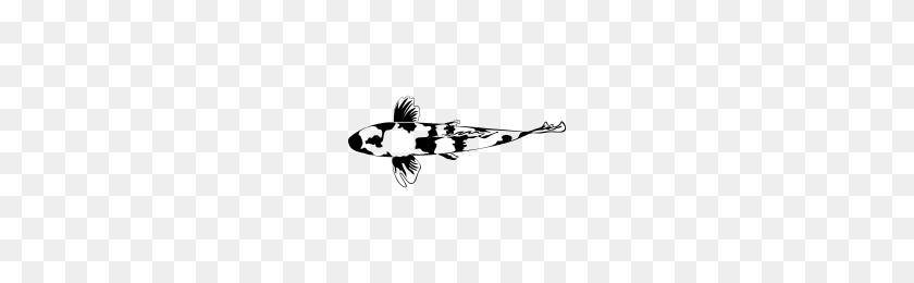200x200 Koi Fish Icons Noun Project - Koi PNG