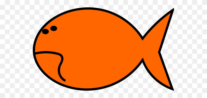 573x340 Koi Goldfish Mahi Mahi Carp - Koi Fish Clipart