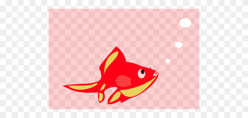 510x340 Koi Pond Goldfish Carp - Koi Clipart