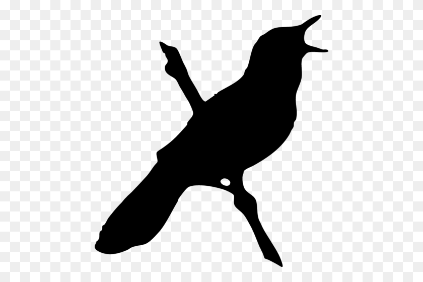 464x500 Kvismare Bird Obs - Логотип Obs Png