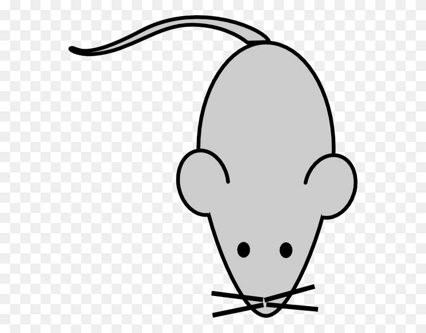 570x597 Скачать Клипы Лабораторной Мыши - Крыса Черно-Белый Клипарт