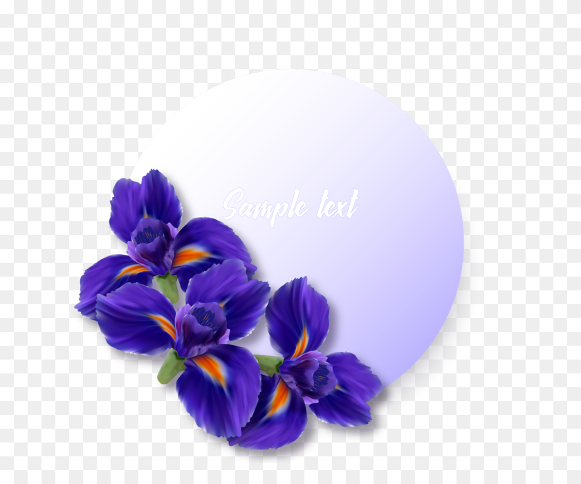 640x640 Label Or Sticker With Realistic Iris Flowers, Iris, Flower - Flower Bouquet PNG