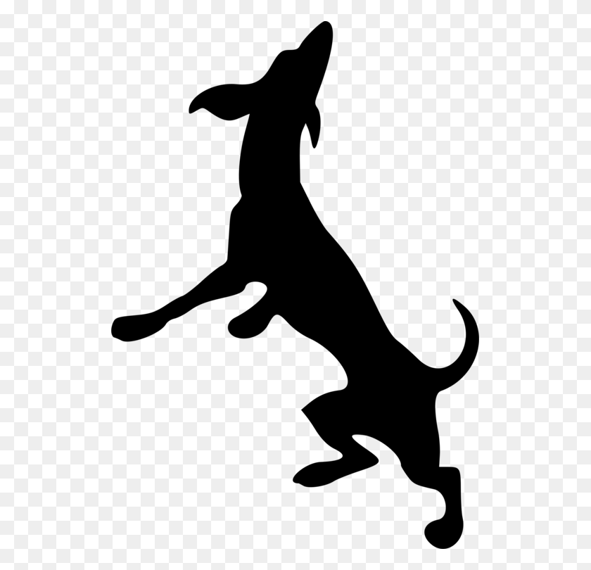 523x750 Labrador Retriever Dobermann Scotch Collie Italian Greyhound Free - Collie Clipart