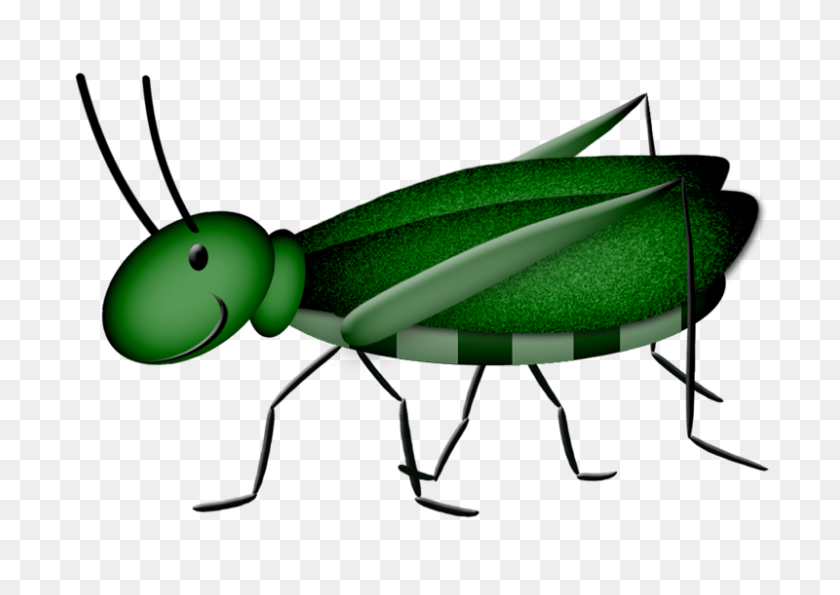 800x549 Lacarolita Spring Joy Cricket Bugs Clipart - Cricket Bug Clipart