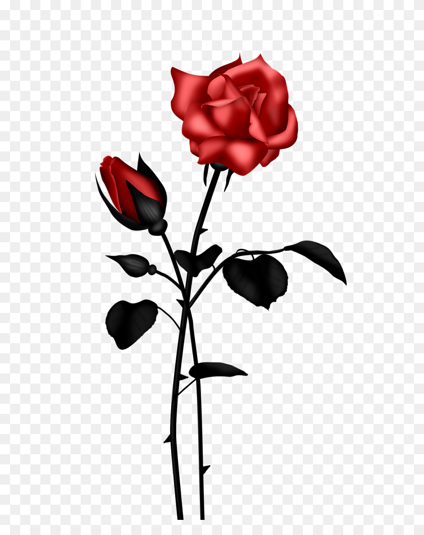 627x1000 Lacarolita Sweet Heart Sweet Hearts And Flowers - Long Stem Rose Clipart