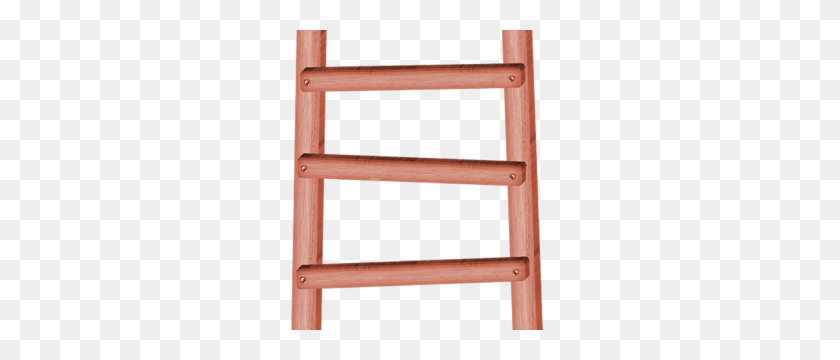 300x300 Ladder In Png Web Icons Png - Ladder PNG