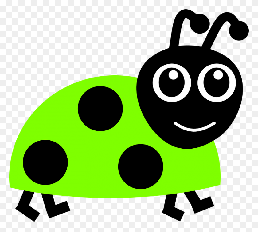 809x720 Lady Beetle Clipart Kumbang - Beetle Clipart