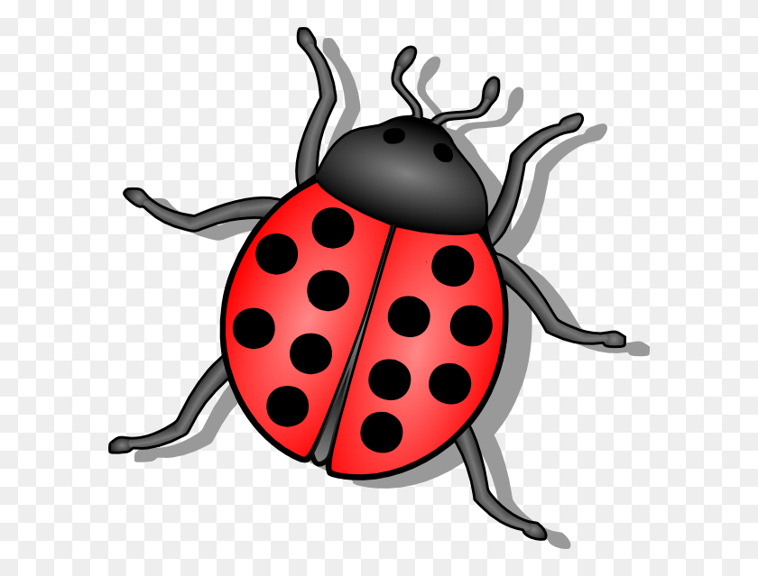 600x579 Lady Bug Clip Art - Lady Bug Clipart Black And White