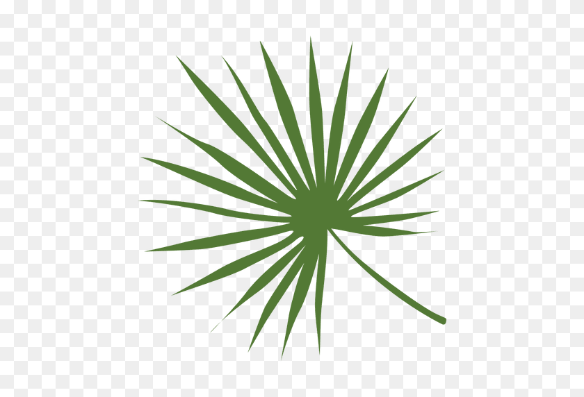 512x512 Lady Palm Leaf Illustration - Palm Leaves PNG