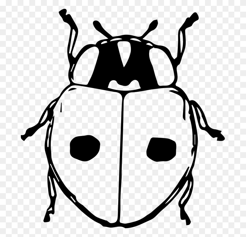 697x750 Ladybird Beetle Black And White Drawing Seven Spot Ladybird Free - Trilobite Clipart