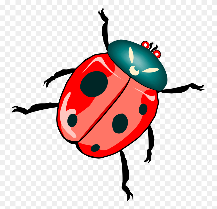751x750 Ladybird Beetle Download True Bugs Drawing - True Clipart