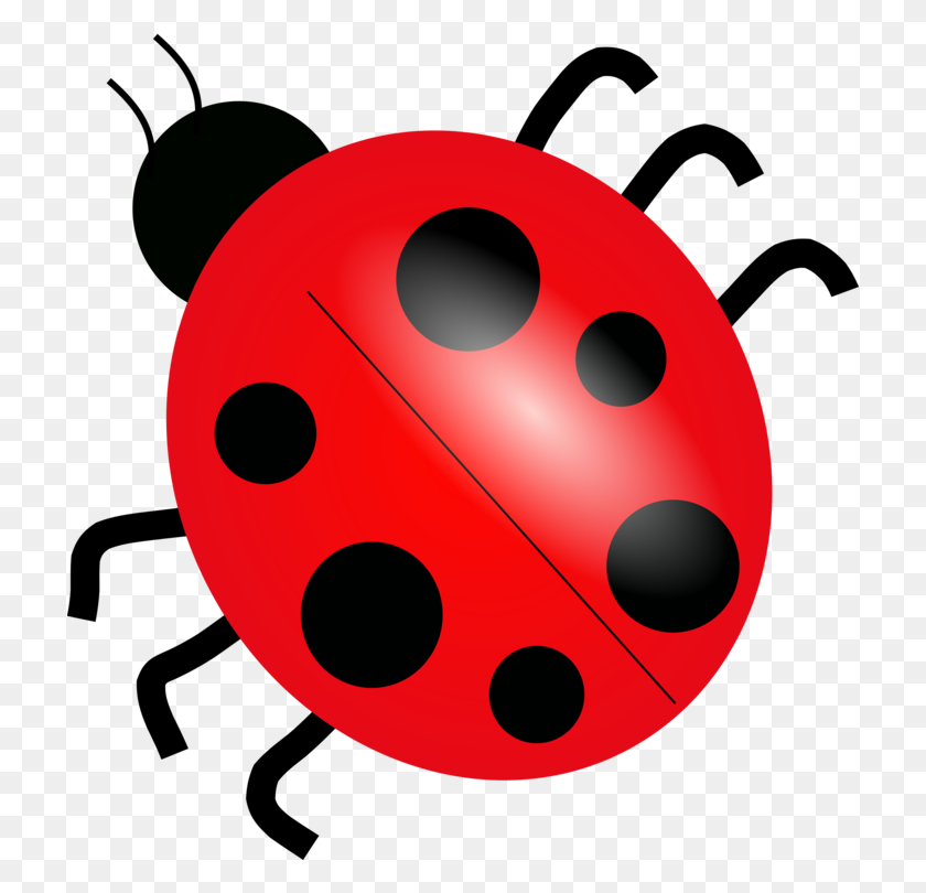 718x750 Ladybird Beetle Drawing Cartoon Ladybird Ladybird - Beetle Clipart