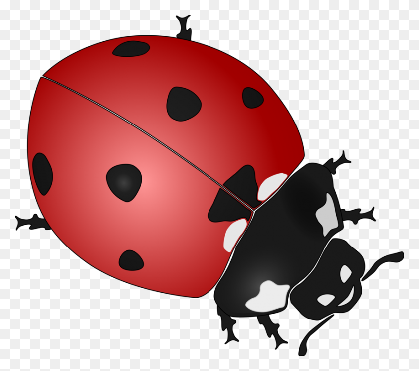 854x750 Ladybird Beetle Dibujo De Descarga - Beetle Coche De Imágenes Prediseñadas