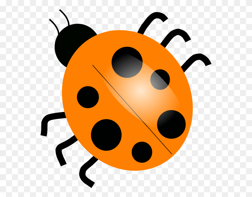 570x596 Ladybird Beetle The Gr - Vaso De Cerveza Clipart