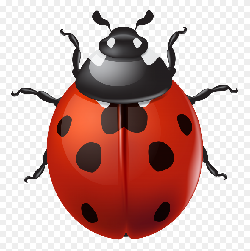 6941x7000 Ladybird Png Clip - Ladybug PNG