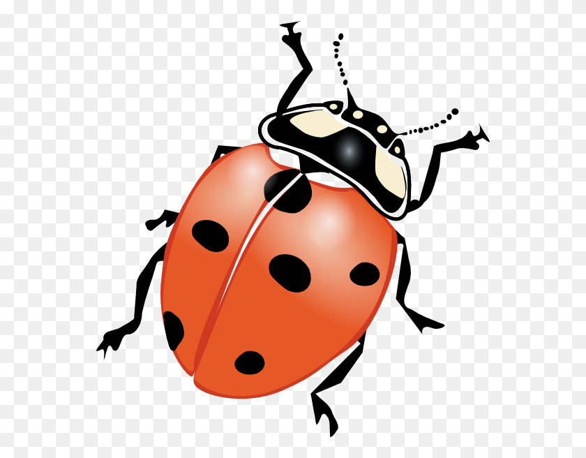 564x596 Ladybug Clip Art Free Vector - Iq Clipart