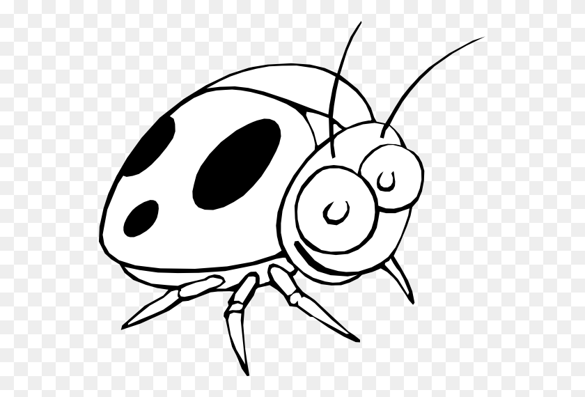 555x510 Ladybug Clipart Black And White - Van Clipart Black And White
