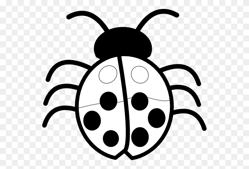 555x511 Ladybug Clipart Black And White - Insect Clipart Black And White