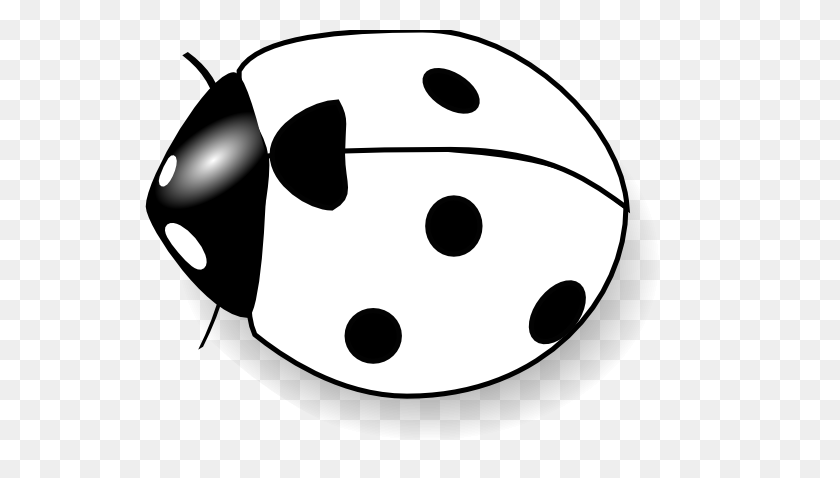 555x418 Ladybug Clipart Blanco Y Negro - Lady Bug Clipart Blanco Y Negro